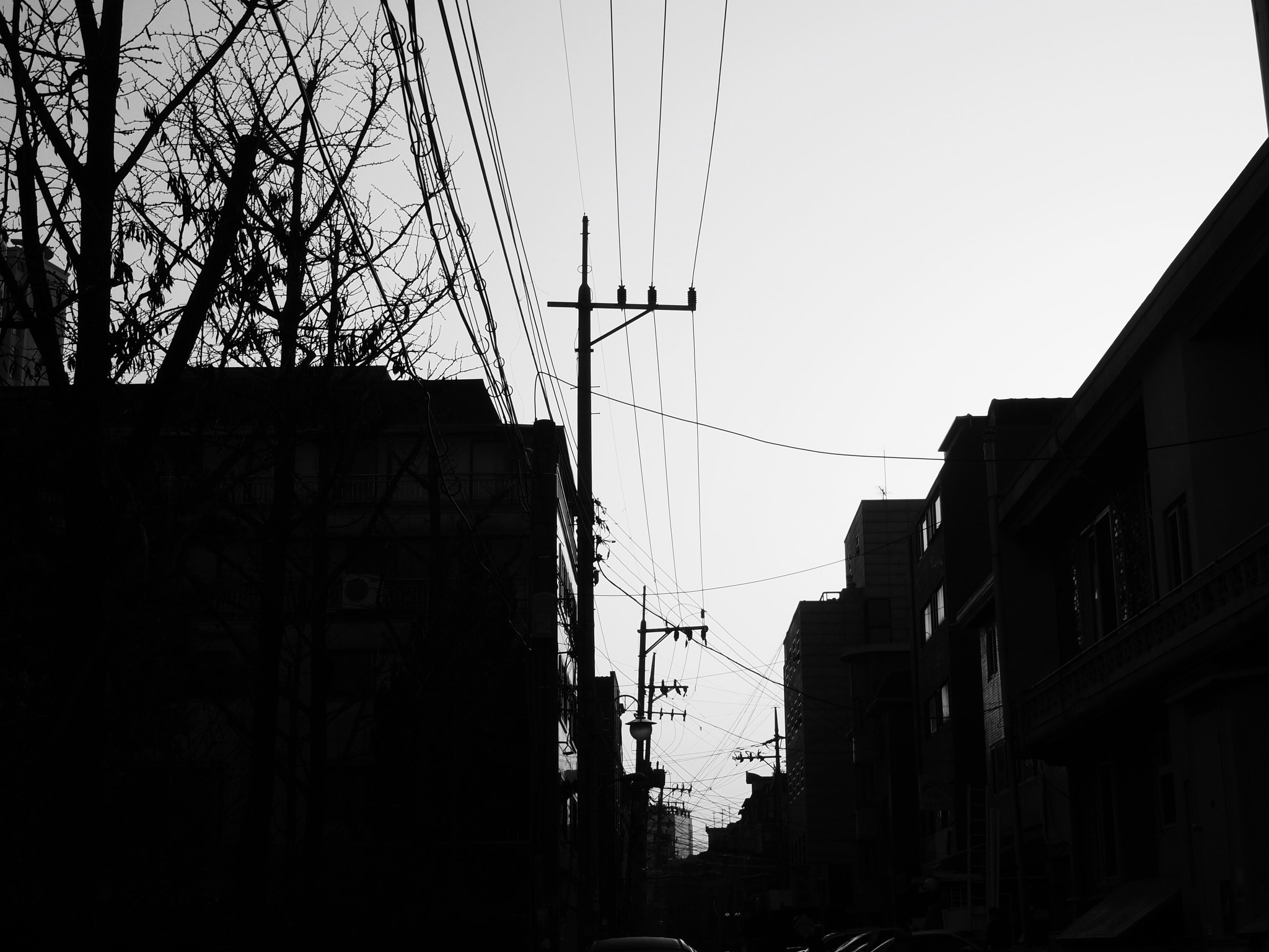 Olympus PEN E-PL2 sample photo. Road to workplace photography