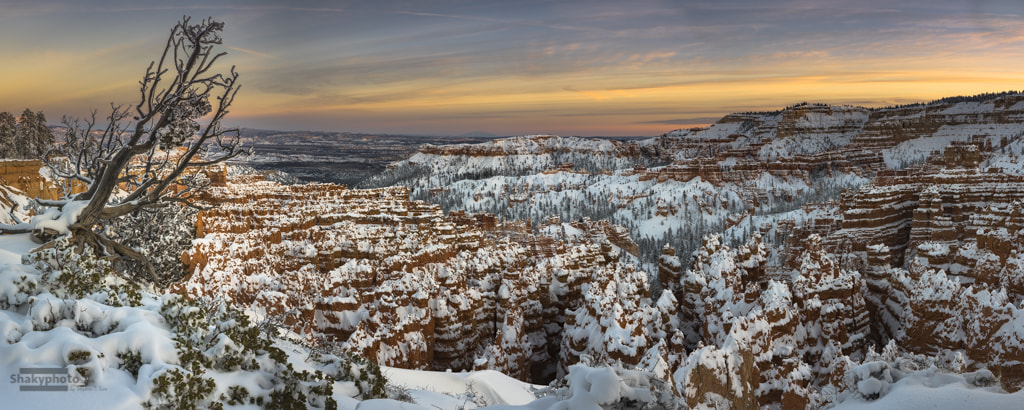 Sony a7R II + Minolta AF 50mm F1.4 [New] sample photo. Bryce sunset point photography