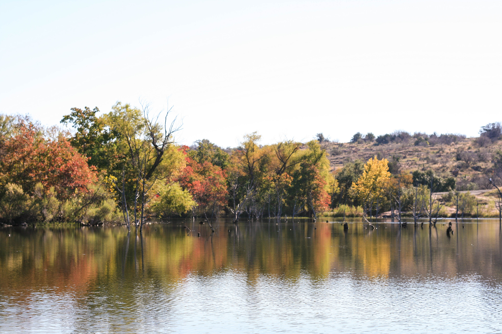 Canon EOS 400D (EOS Digital Rebel XTi / EOS Kiss Digital X) sample photo. Inks lake fall colors photography