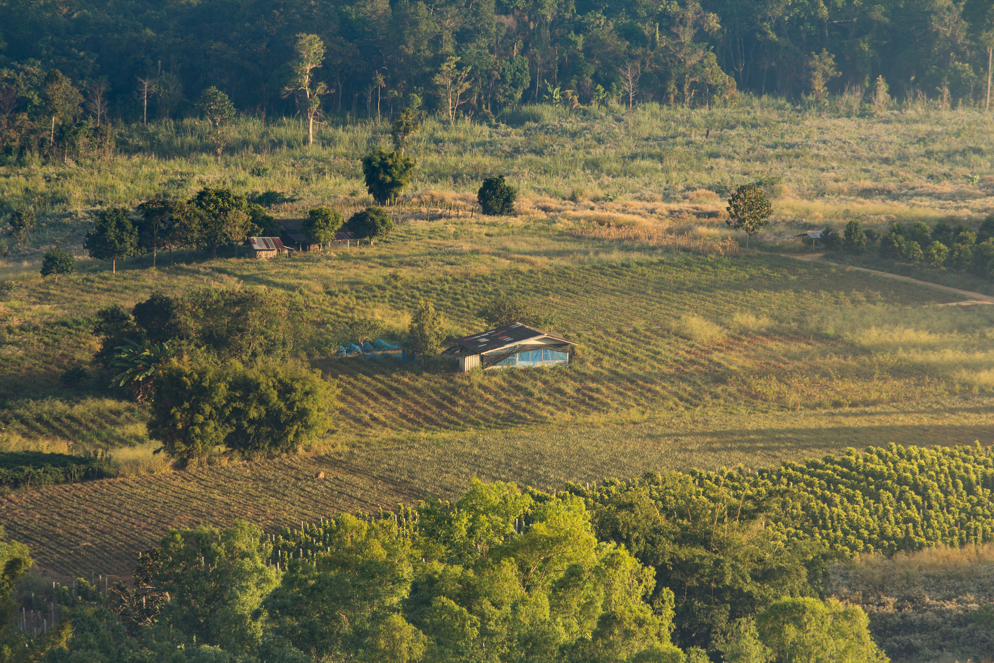 Canon EOS 60D sample photo. Agricultural landscape with green fields on hills at northern pa photography