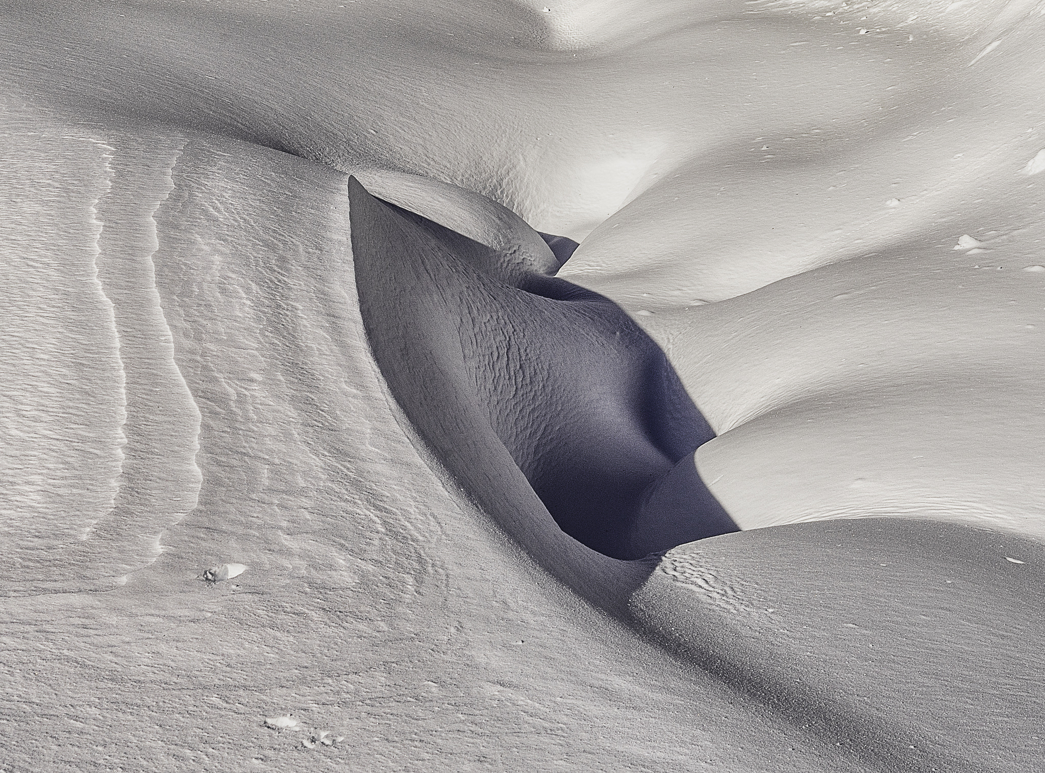 Sony a7R sample photo. Snow photography