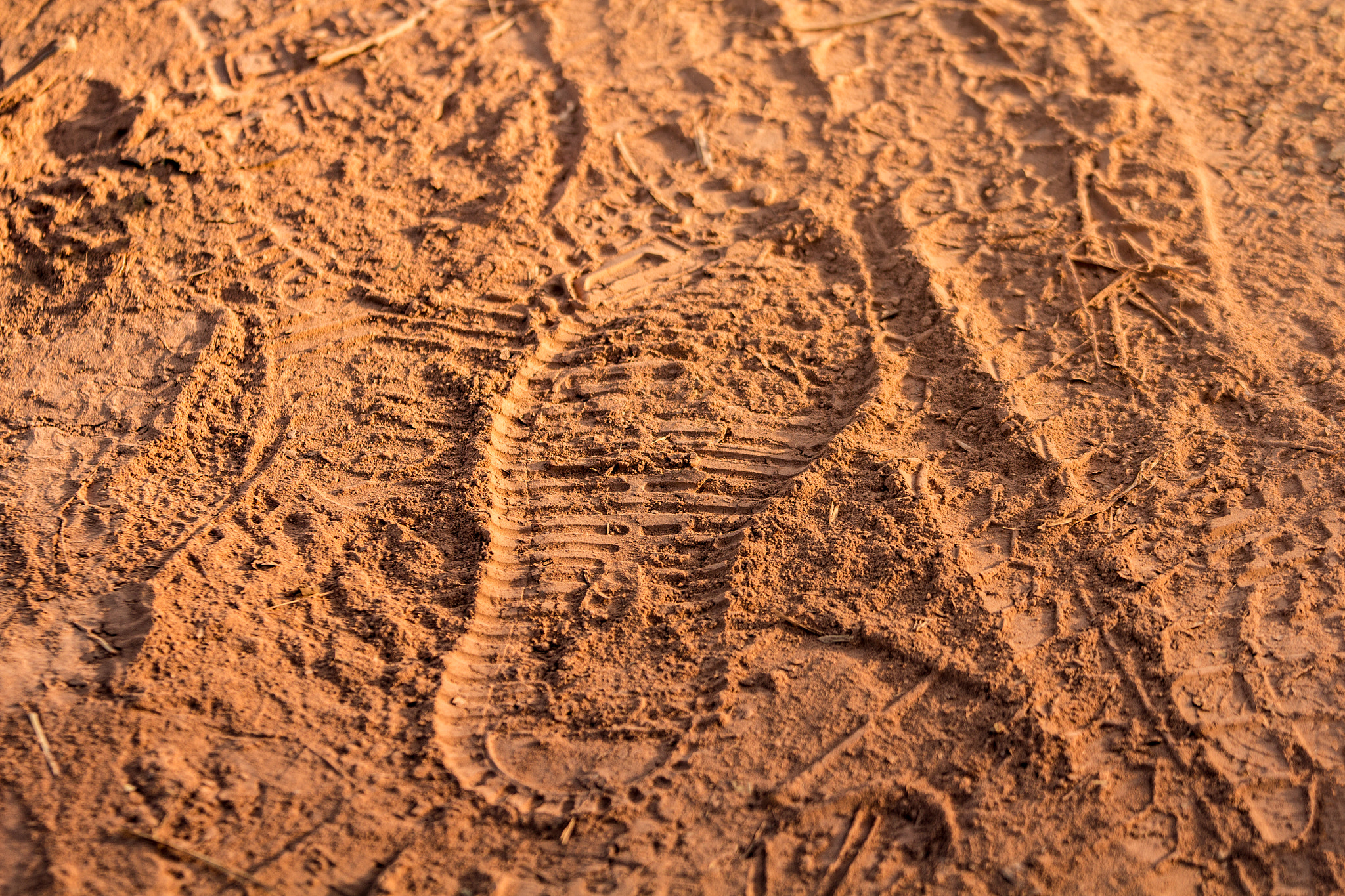 Canon EOS 60D + Canon EF 70-200mm F4L IS USM sample photo. Footprint  on the jungle trail and rural roads. photography
