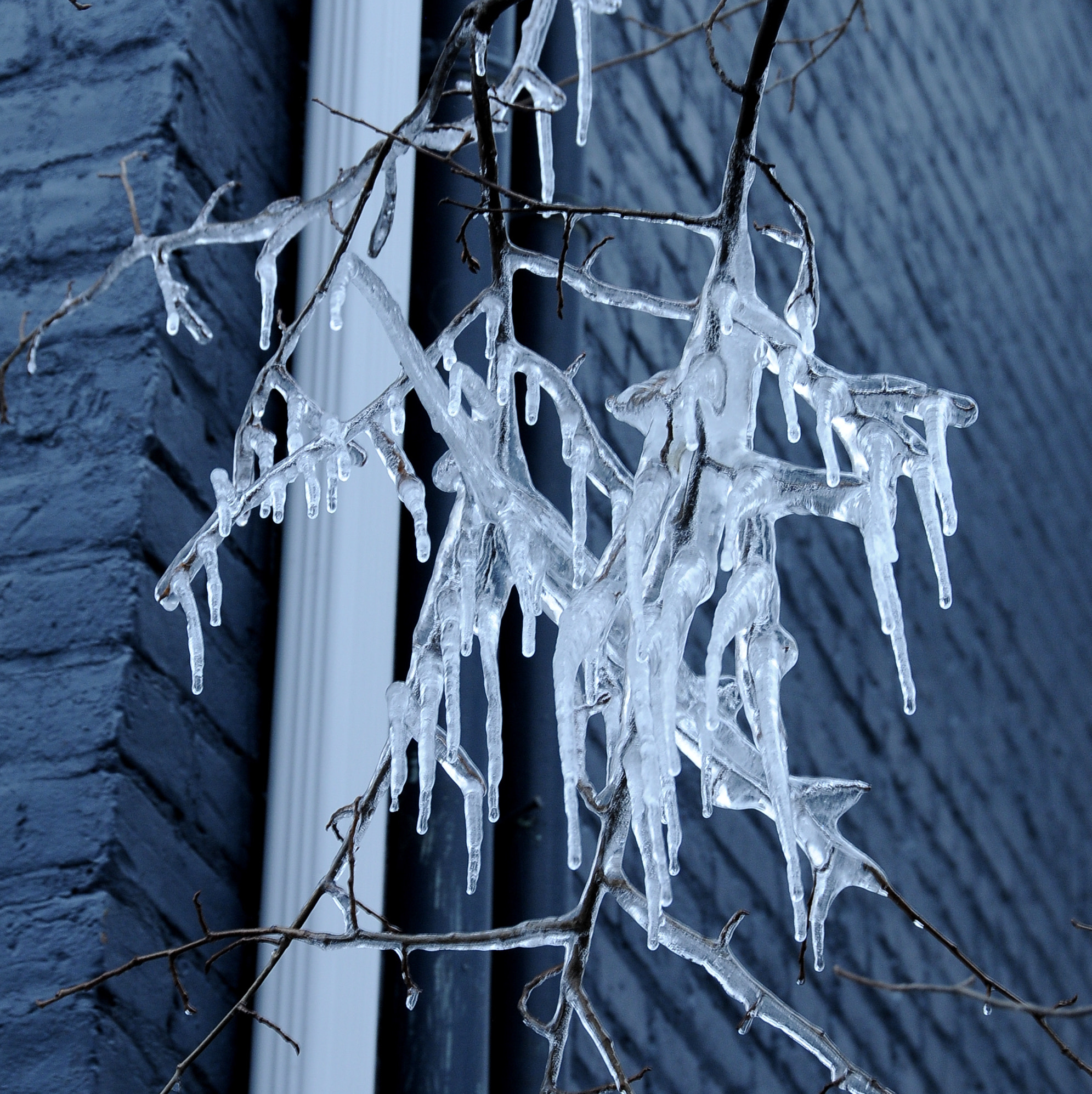 Nikon D300S sample photo. Quebec city dec photography