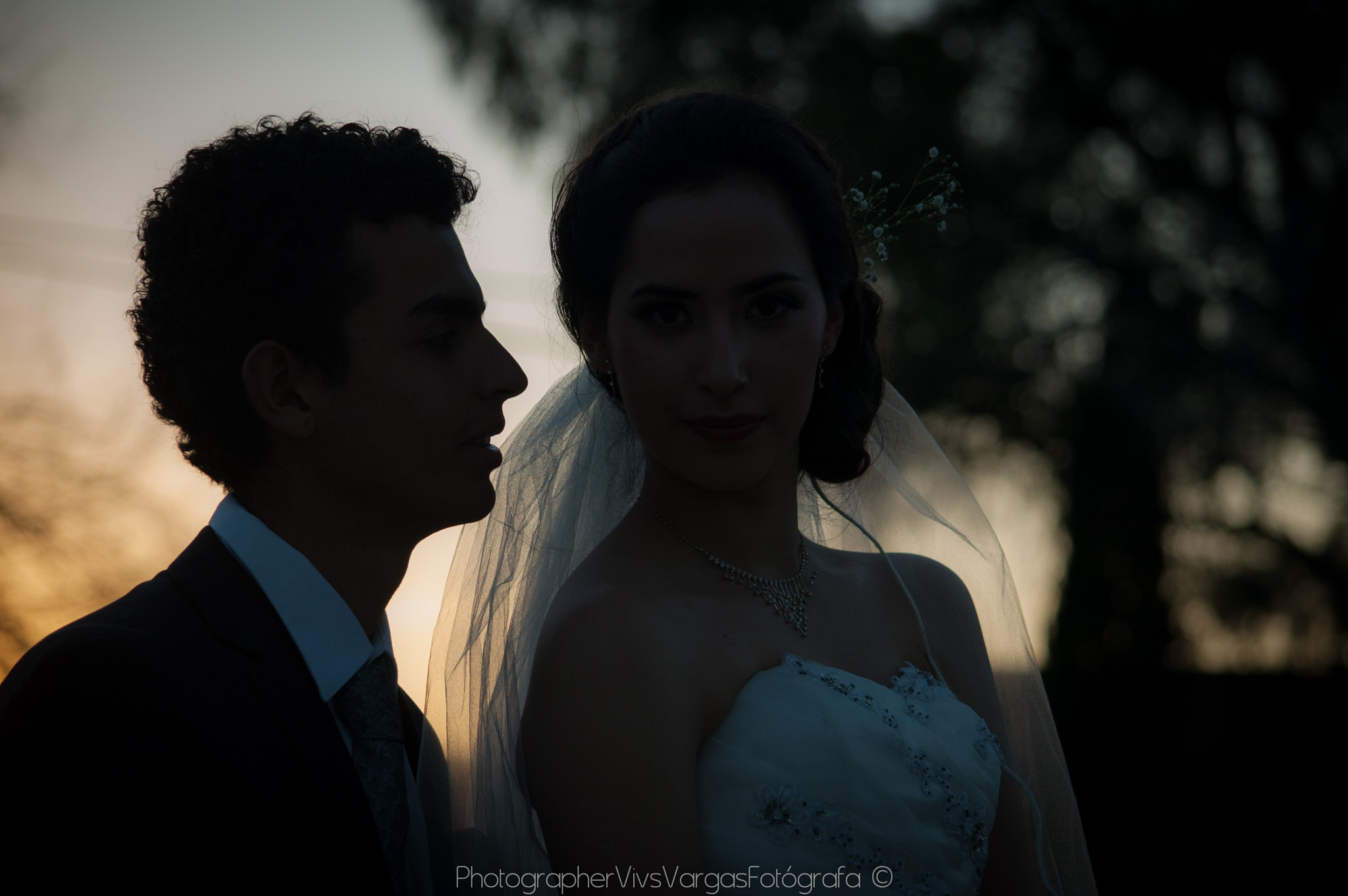 Nikon D70s sample photo. 7 of 8 photography