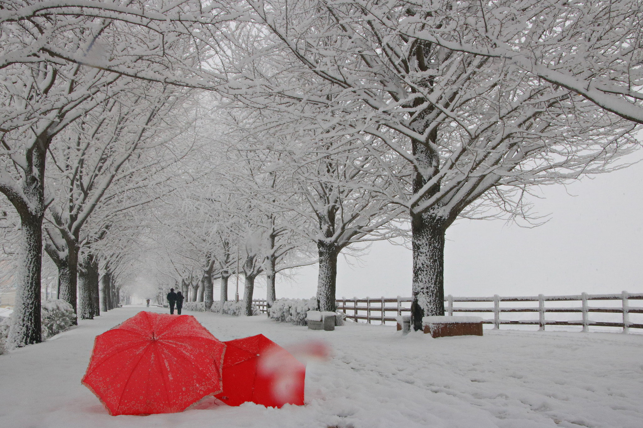 Canon EOS 750D (EOS Rebel T6i / EOS Kiss X8i) sample photo. Winter photography