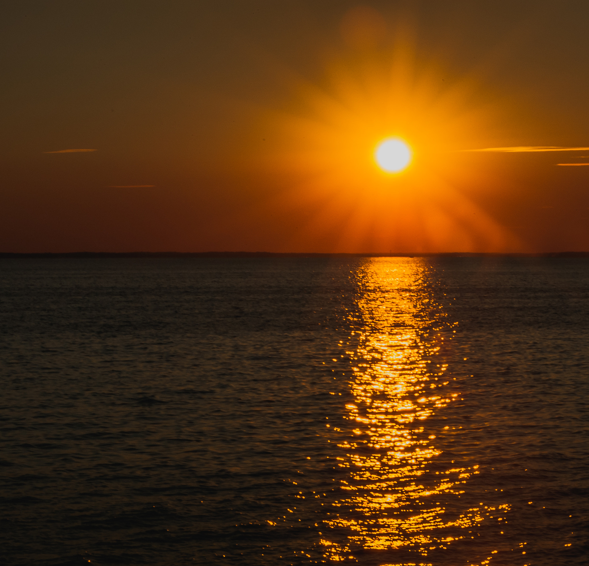 Nikon D50 sample photo. Sun on the water photography