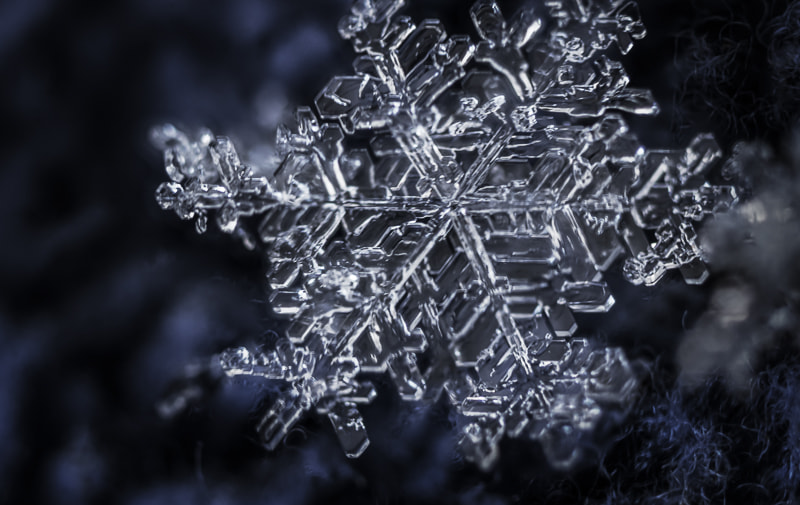 Pentax K-3 II sample photo. Focus merged image of a snowflake. photography