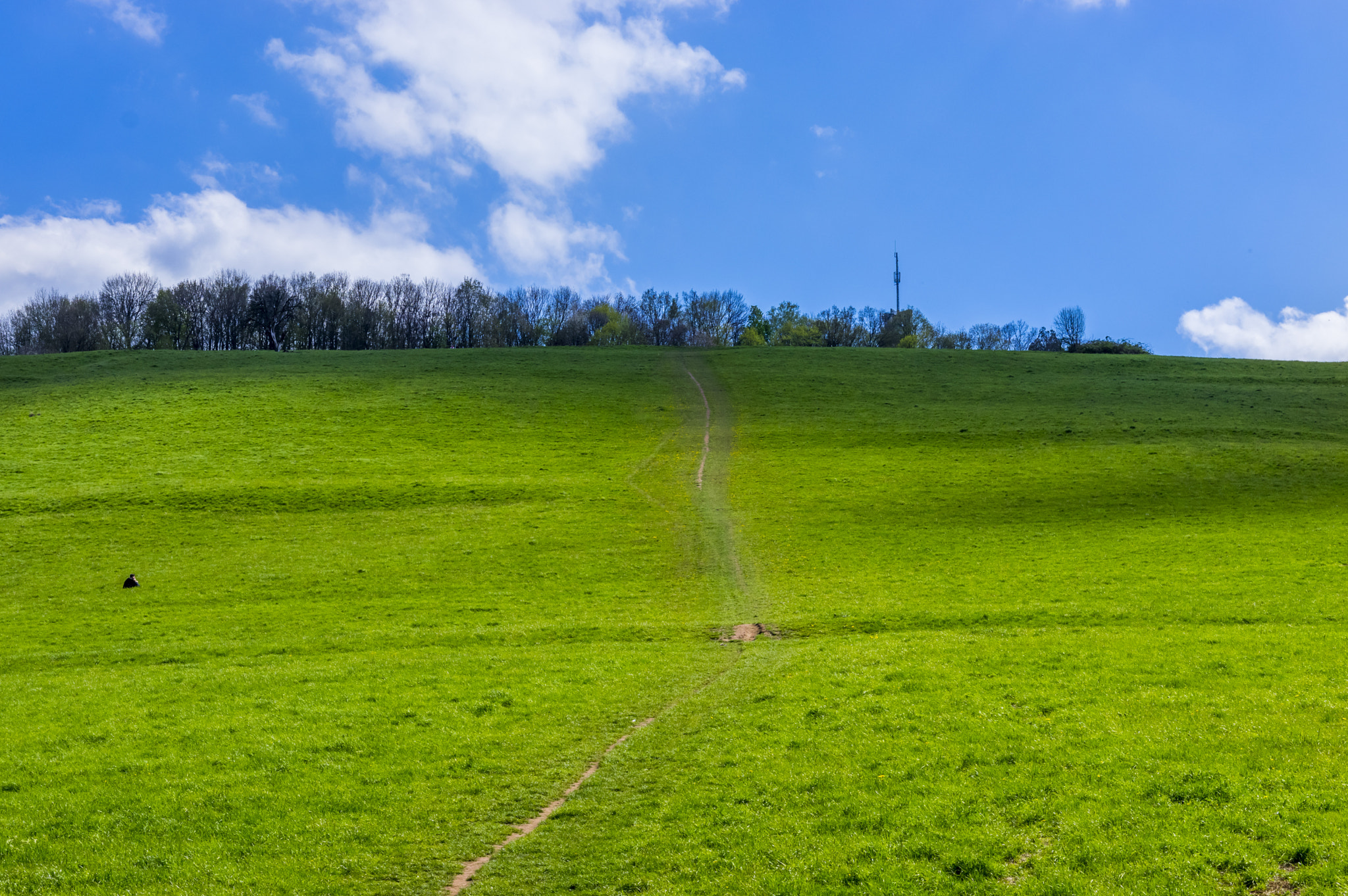 Pentax K-3 sample photo. Beautiful path photography