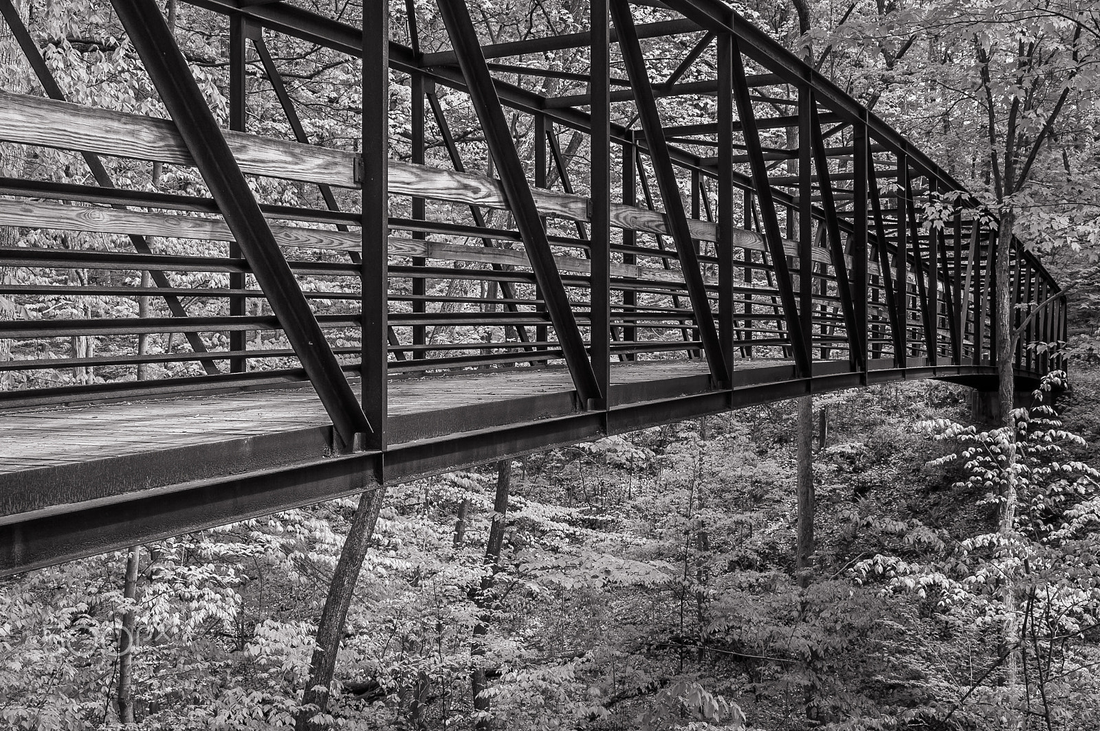 Nikon D50 sample photo. Bridging the gap photography