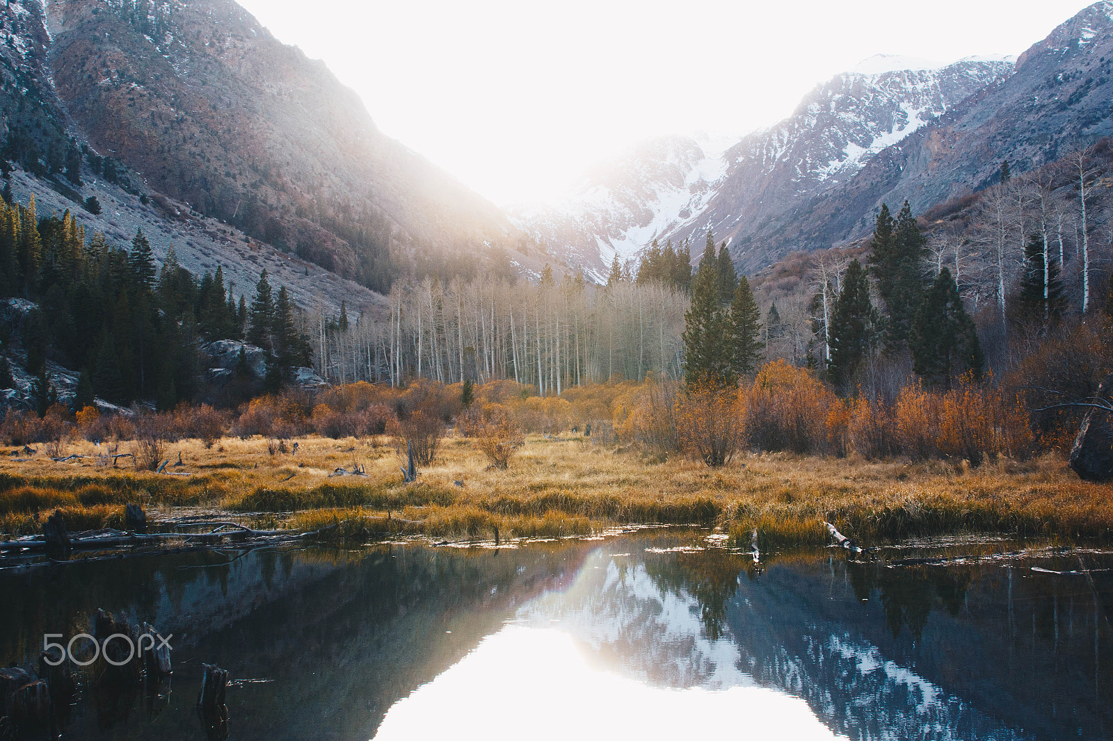 EF28-70mm f/2.8L USM sample photo. Aspen grove photography