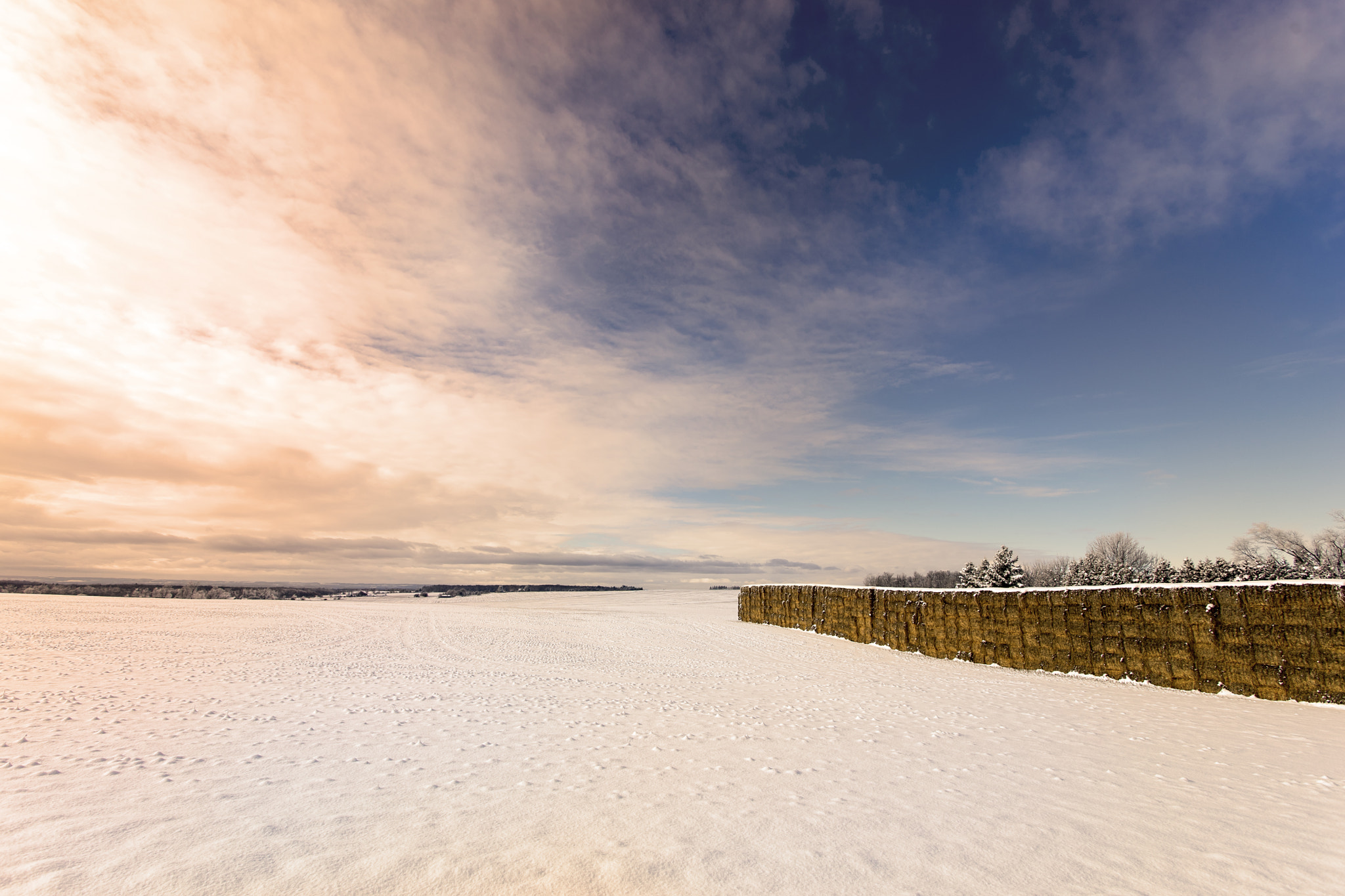 Sony a7 II + Canon EF 17-40mm F4L USM sample photo. Heifield photography