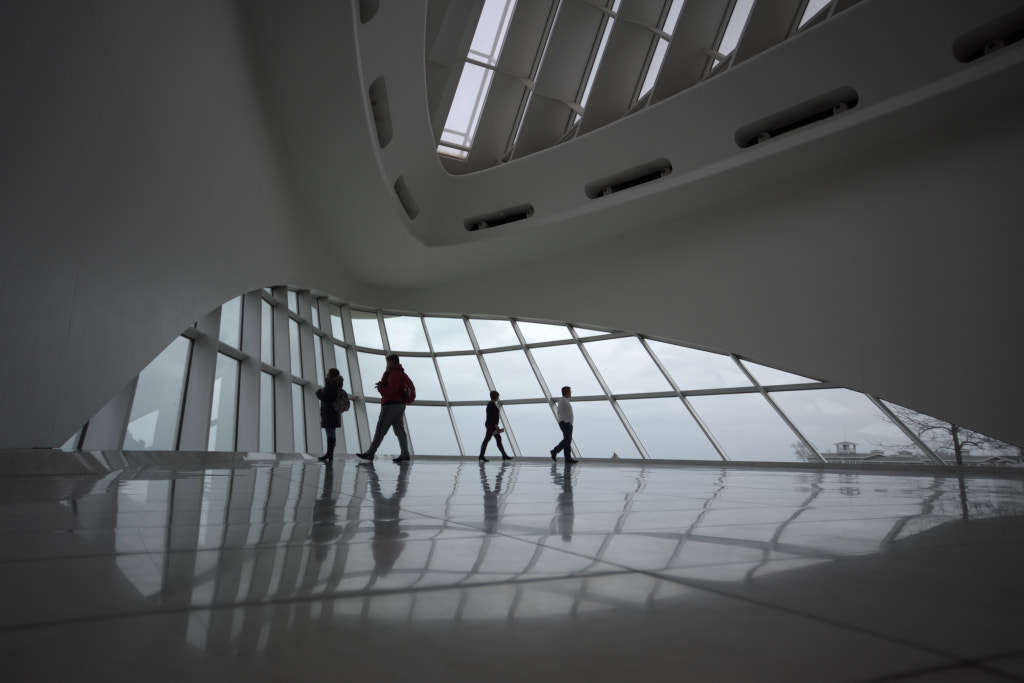 Nikon D810 sample photo. Milwaukee art museum photography
