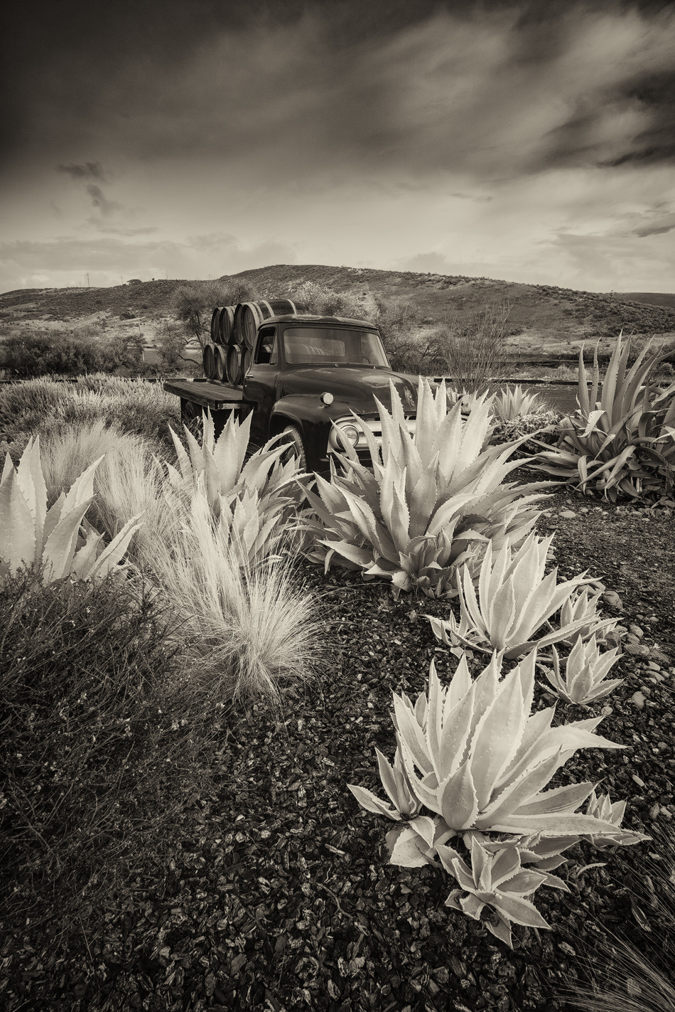 E 18mm F2.8 sample photo. Vintage truck in sepia photography