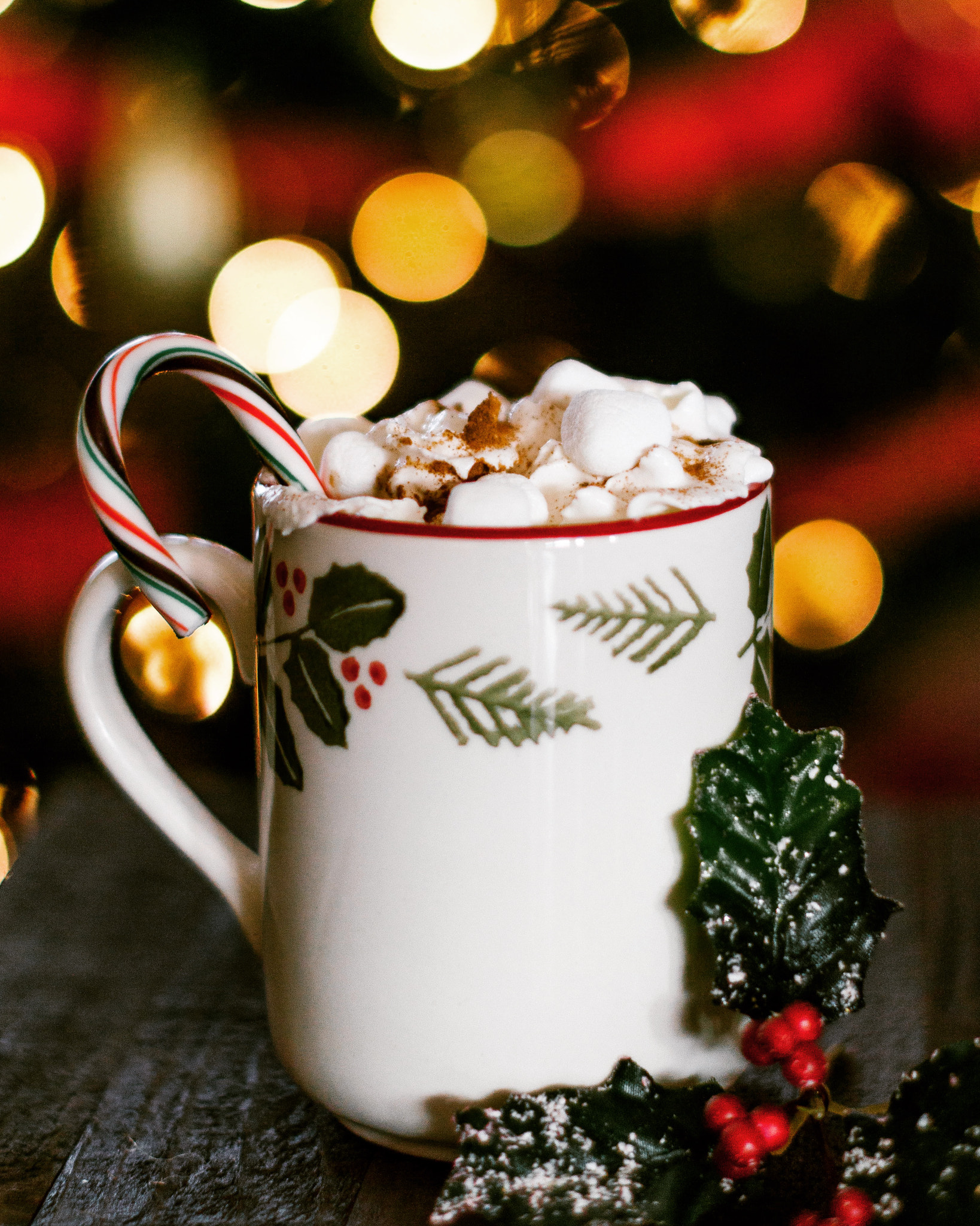 Nikon D3200 + Nikon AF-S Nikkor 50mm F1.4G sample photo. Hot chocolate and christmas movies photography