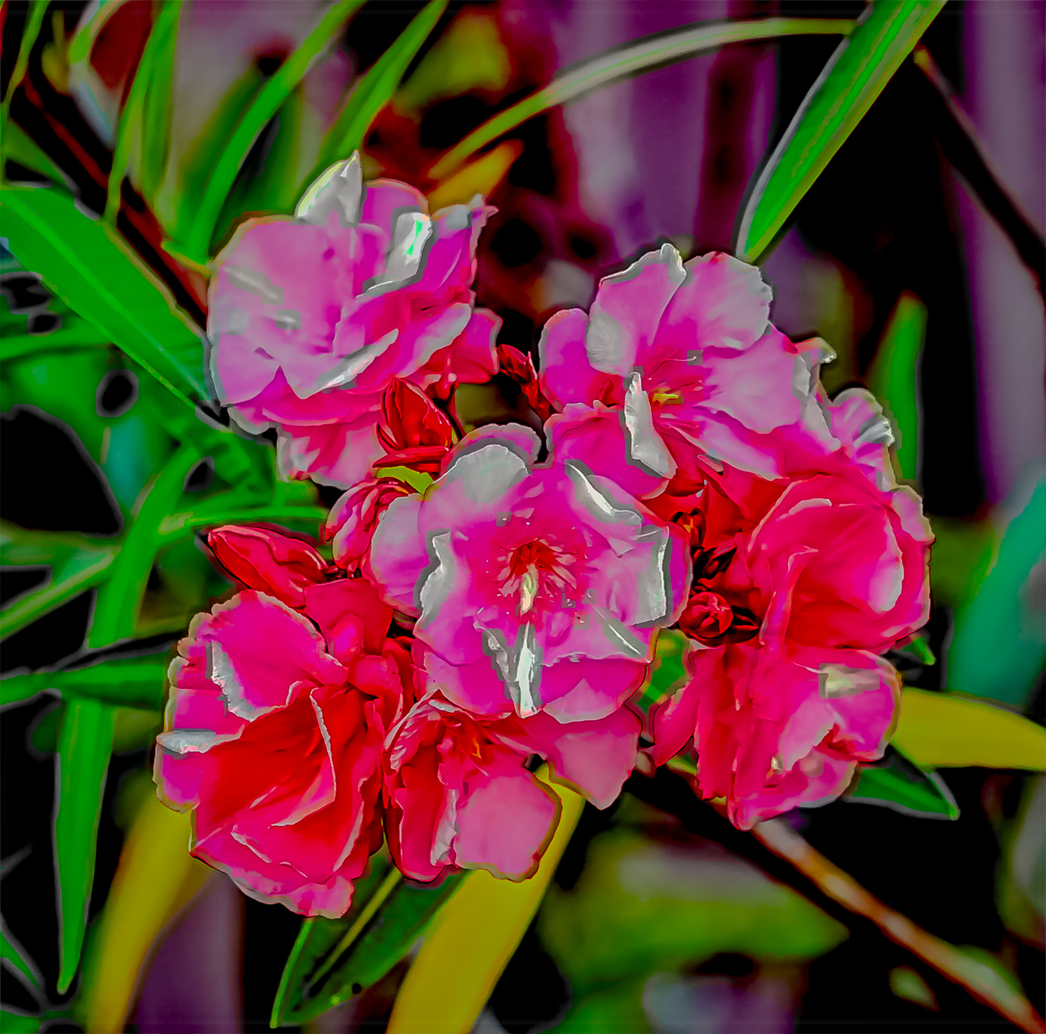 Canon EF 75-300mm f/4-5.6 USM sample photo. Pink flowers green leaves photography