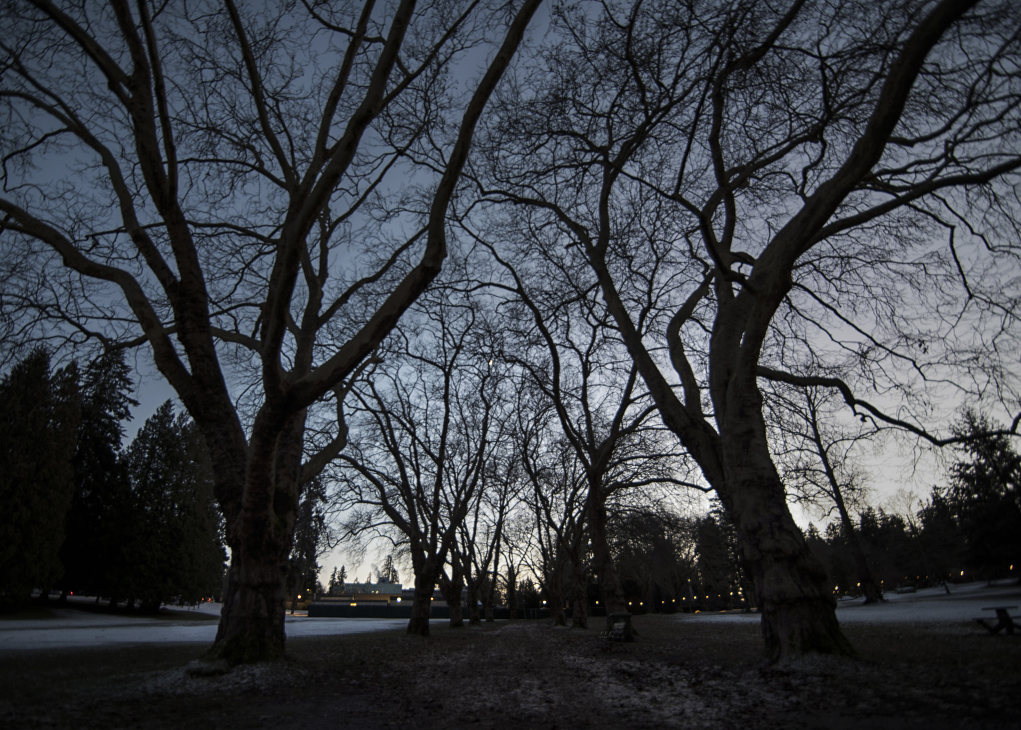 Tokina AT-X 16-28mm F2.8 Pro FX sample photo. Gigantes photography