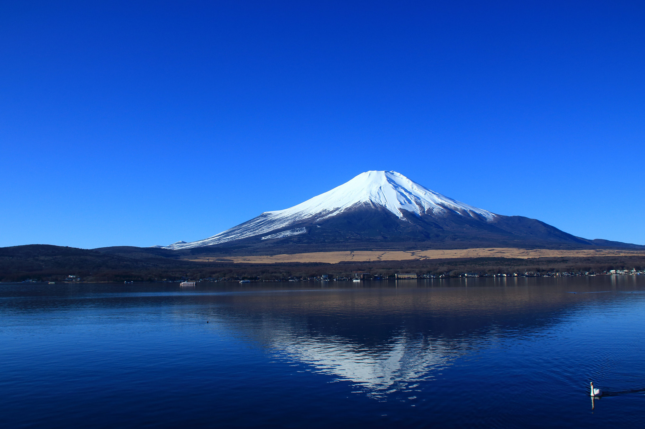 Canon EF 75-300mm F4.0-5.6 IS USM sample photo
