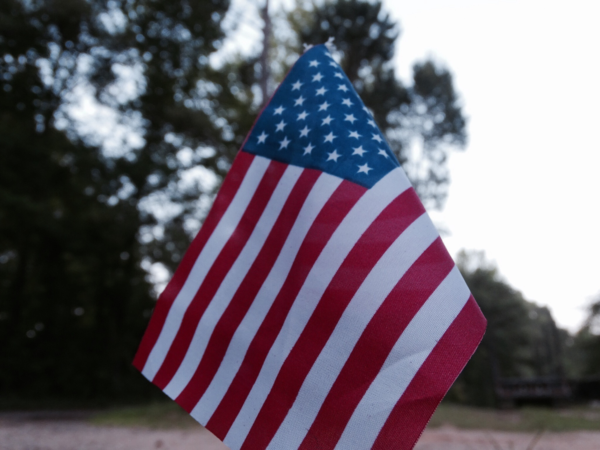 Sony 24-210mm F2.8-6.3 sample photo. United states flag photography