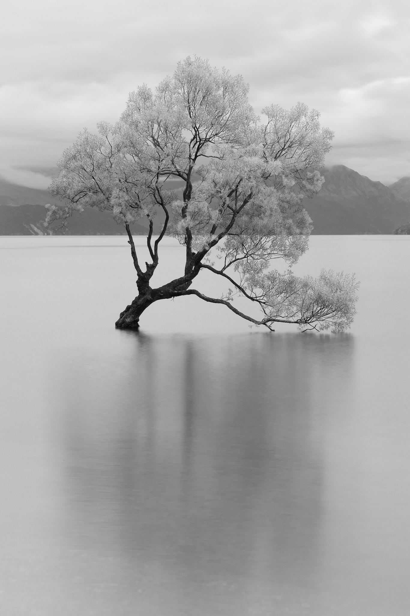 Fujifilm X-T1 + Fujifilm XF 50-140mm F2.8 R LM OIS WR sample photo. Reflections photography