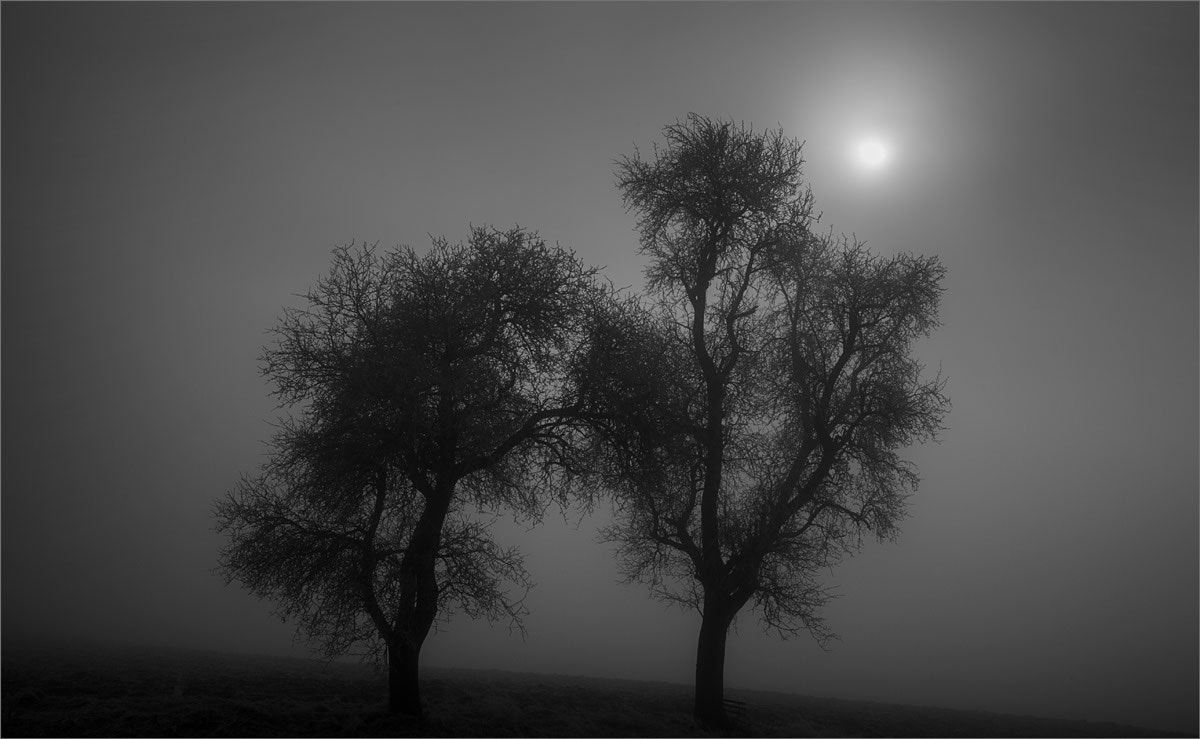 Summicron-M 1:2/35 ASPH. sample photo. Morning fog photography
