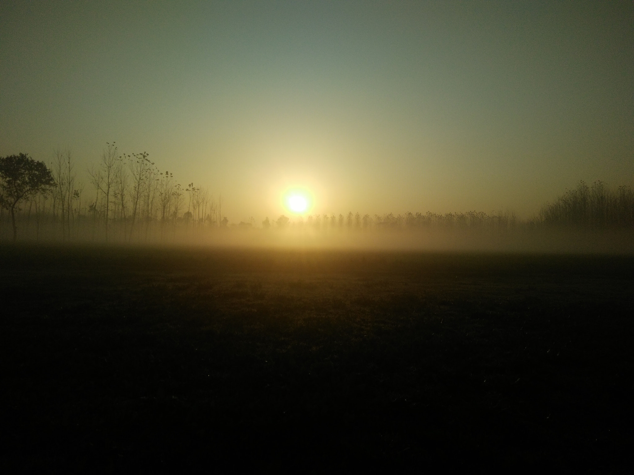 OPPO F1f sample photo. Good morning photography