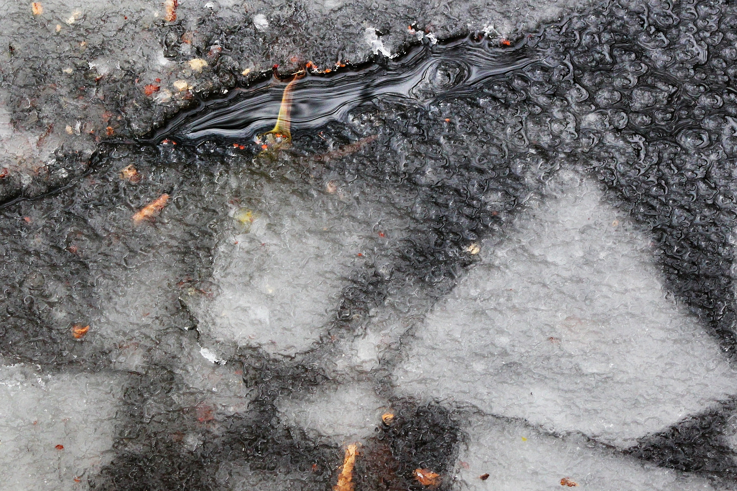 Canon EF 75-300mm f/4-5.6 USM sample photo. Freezing point photography