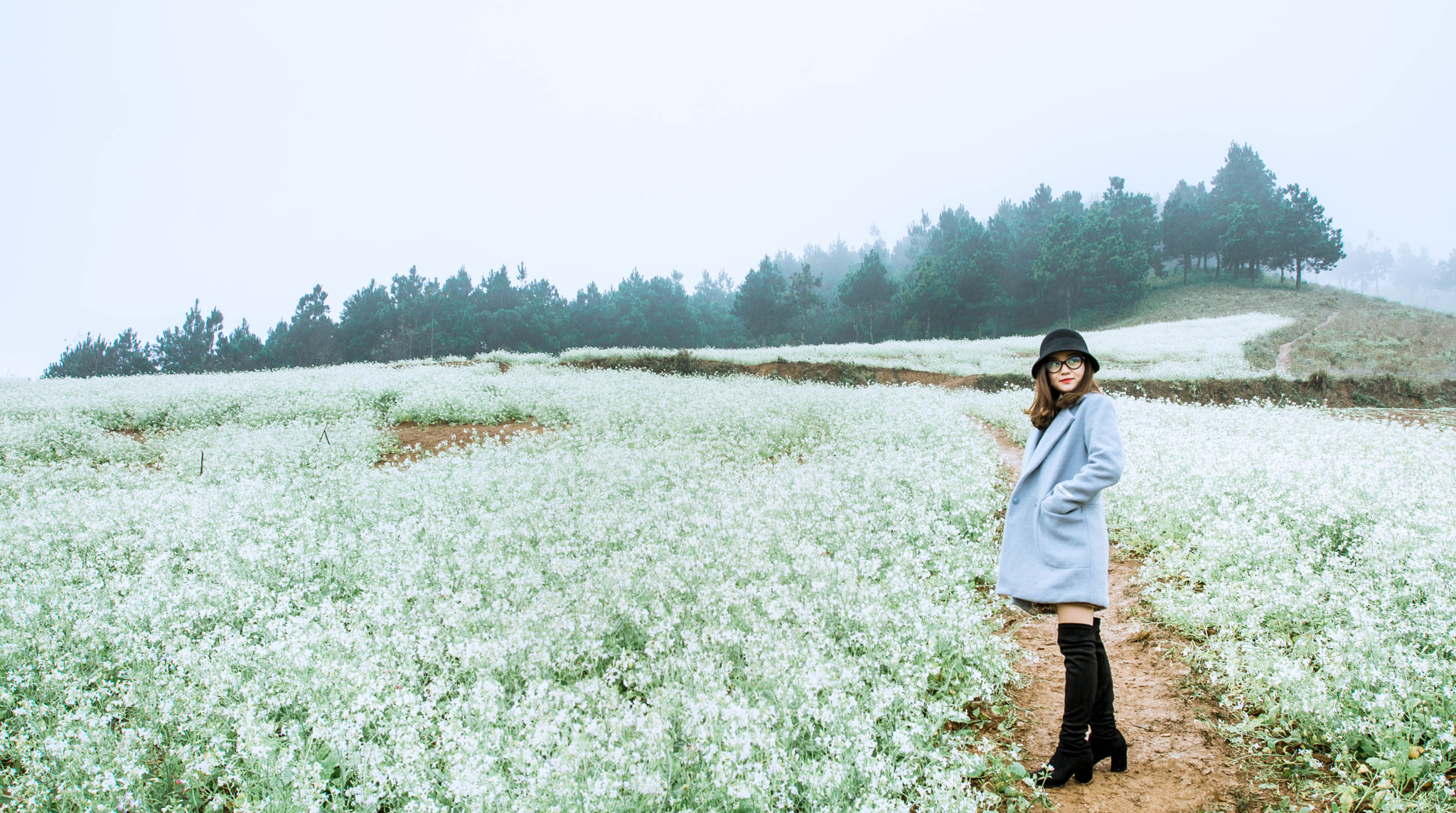 Tamron 18-270mm F3.5-6.3 Di II PZD sample photo. Mocchau photography