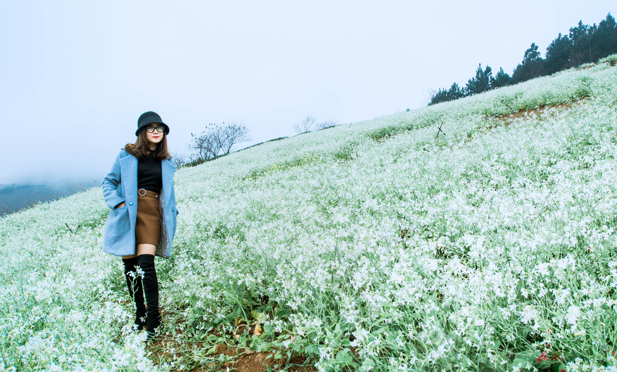 Tamron 18-270mm F3.5-6.3 Di II PZD sample photo. Mocchau photography
