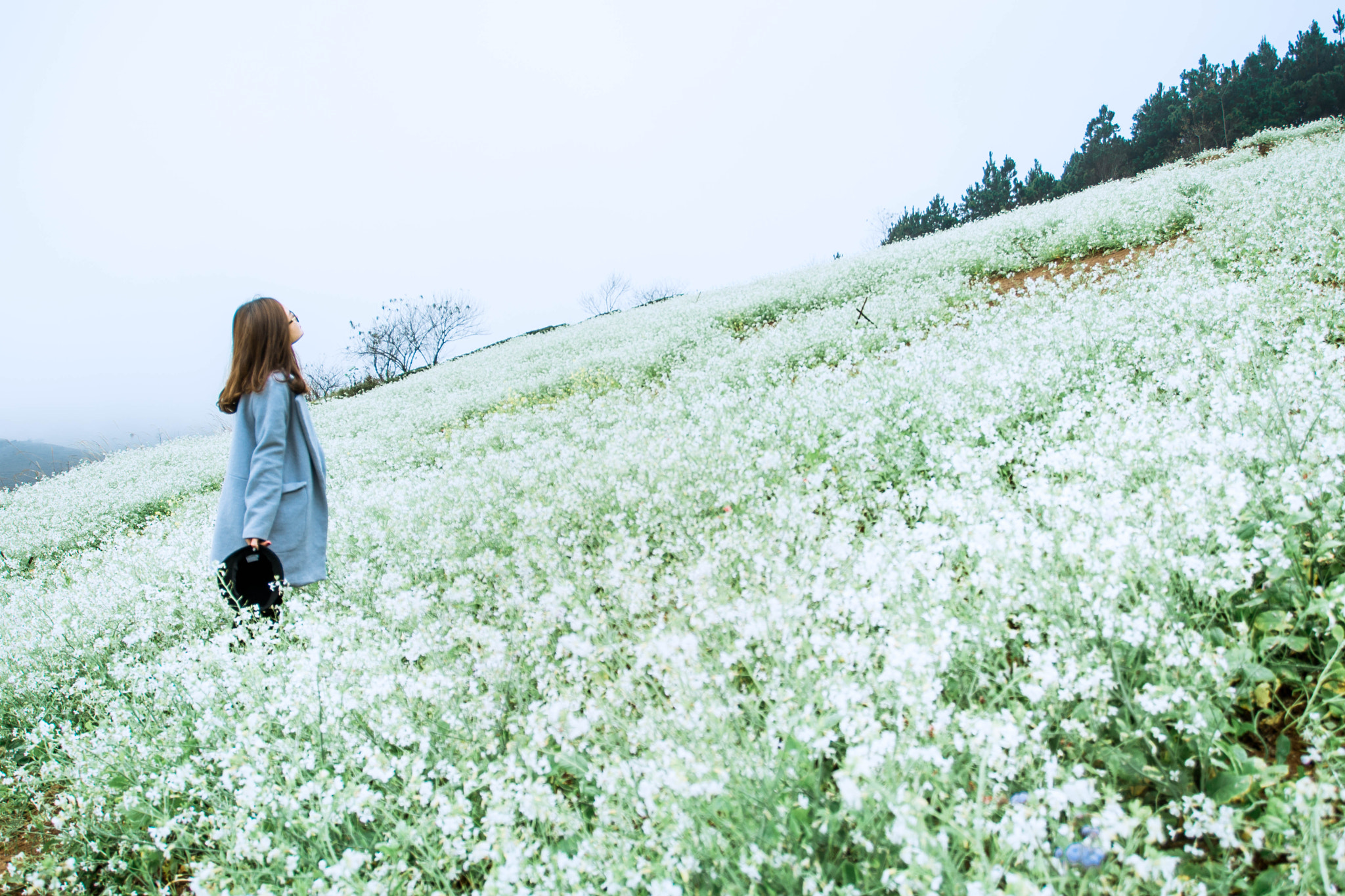 Tamron 18-270mm F3.5-6.3 Di II PZD sample photo. Mocchau photography