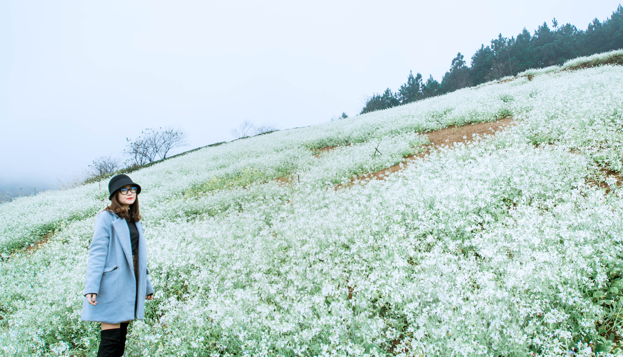 Tamron 18-270mm F3.5-6.3 Di II PZD sample photo. Mocchau photography