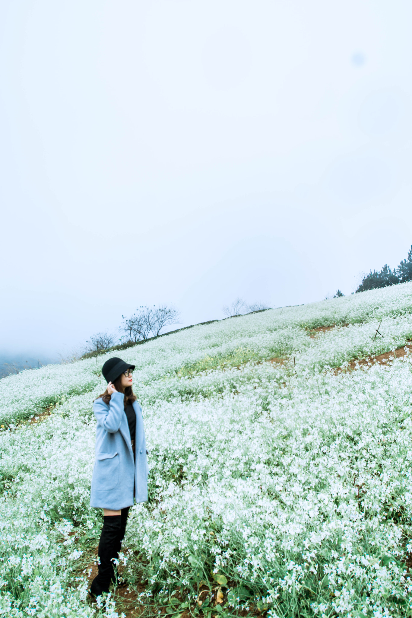 Tamron 18-270mm F3.5-6.3 Di II PZD sample photo. Mocchau photography