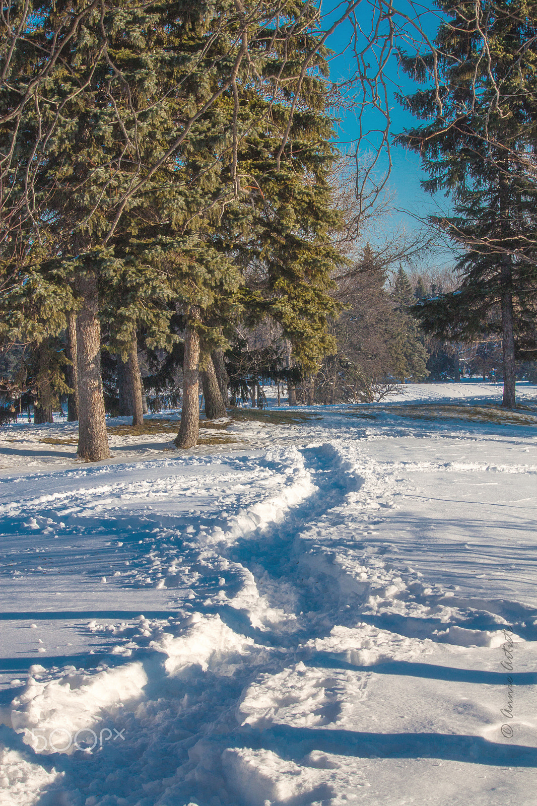 Canon EF-S 55-250mm F4-5.6 IS STM sample photo. On the trails photography