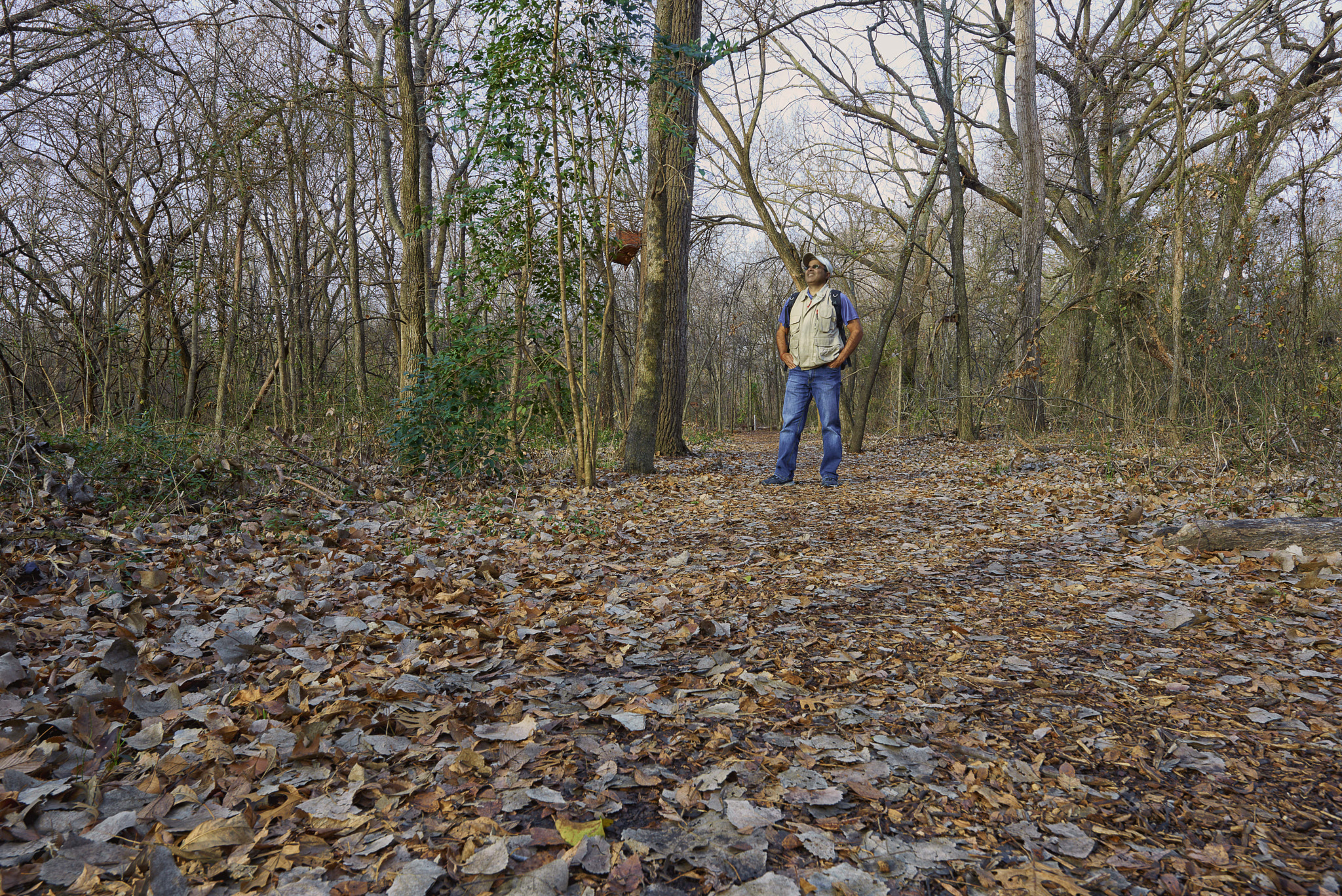 Nikon AF-S Nikkor 14-24mm F2.8G ED sample photo. Coppell nature reserve, fall jan 2017 photography