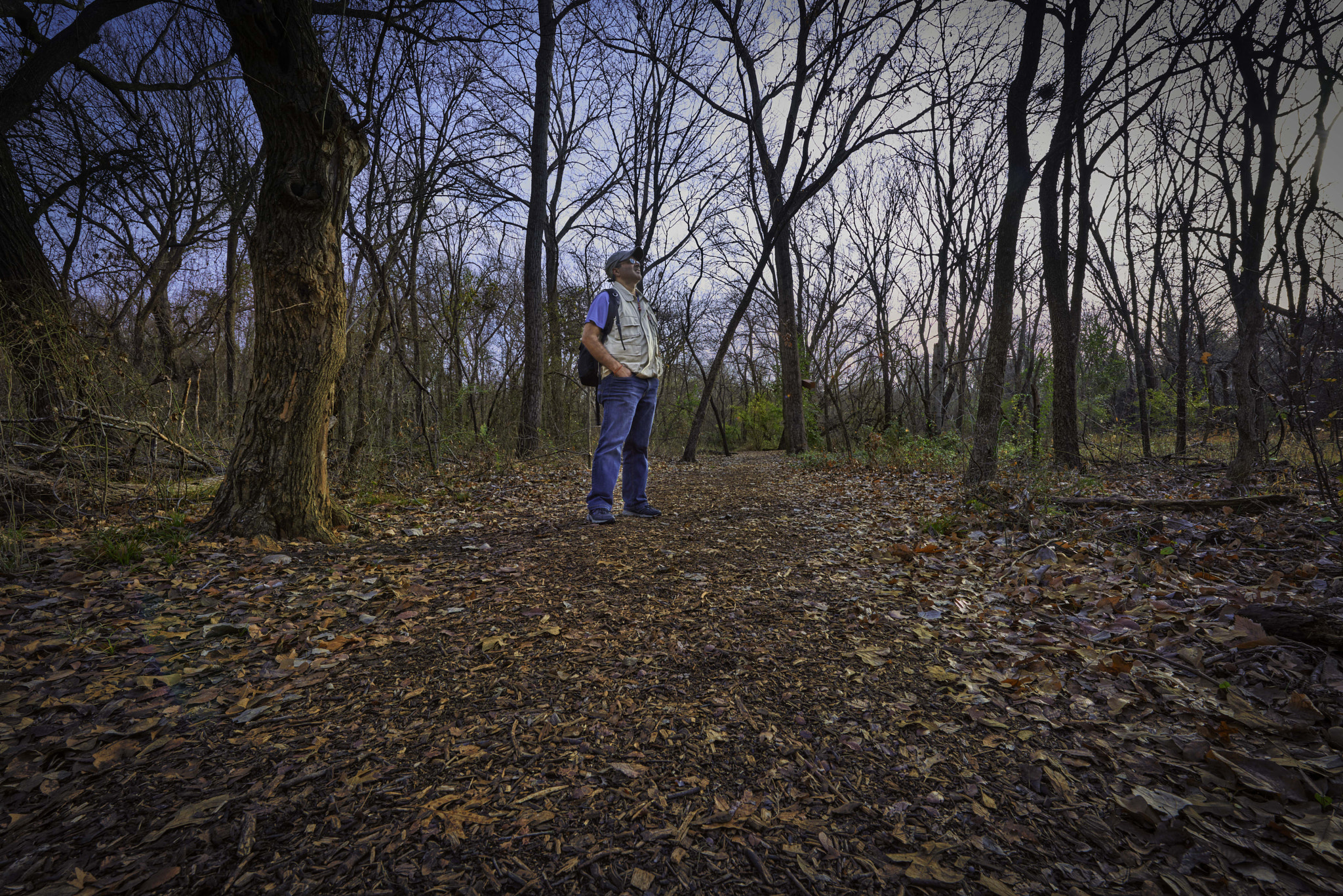 Nikon AF-S Nikkor 14-24mm F2.8G ED sample photo. Coppell nature reserve, fall jan 2017 photography