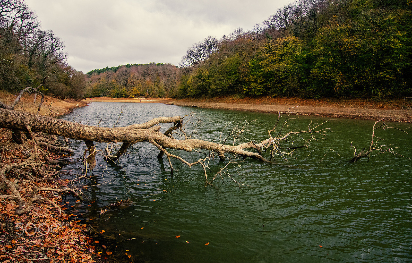 Pentax smc DA 12-24mm F4.0 ED AL (IF) sample photo. Natural events photography