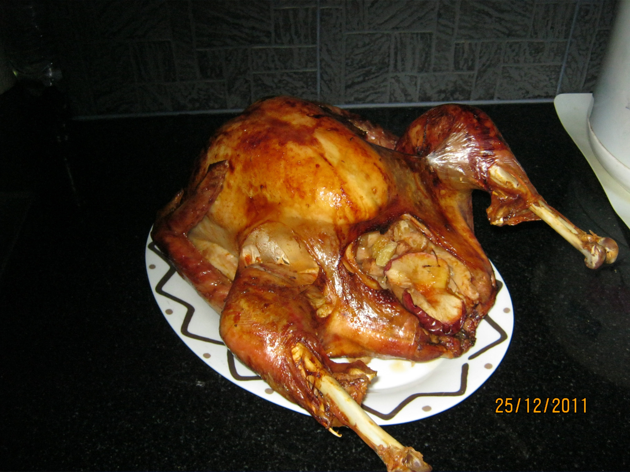 Canon PowerShot A495 sample photo. Christmas turkey photography