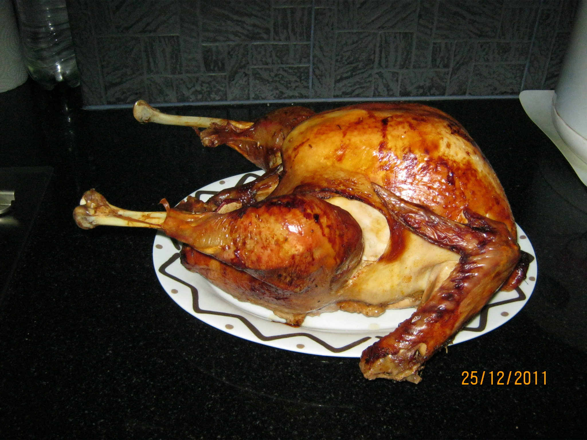 Canon PowerShot A495 sample photo. Christmas turkey photography