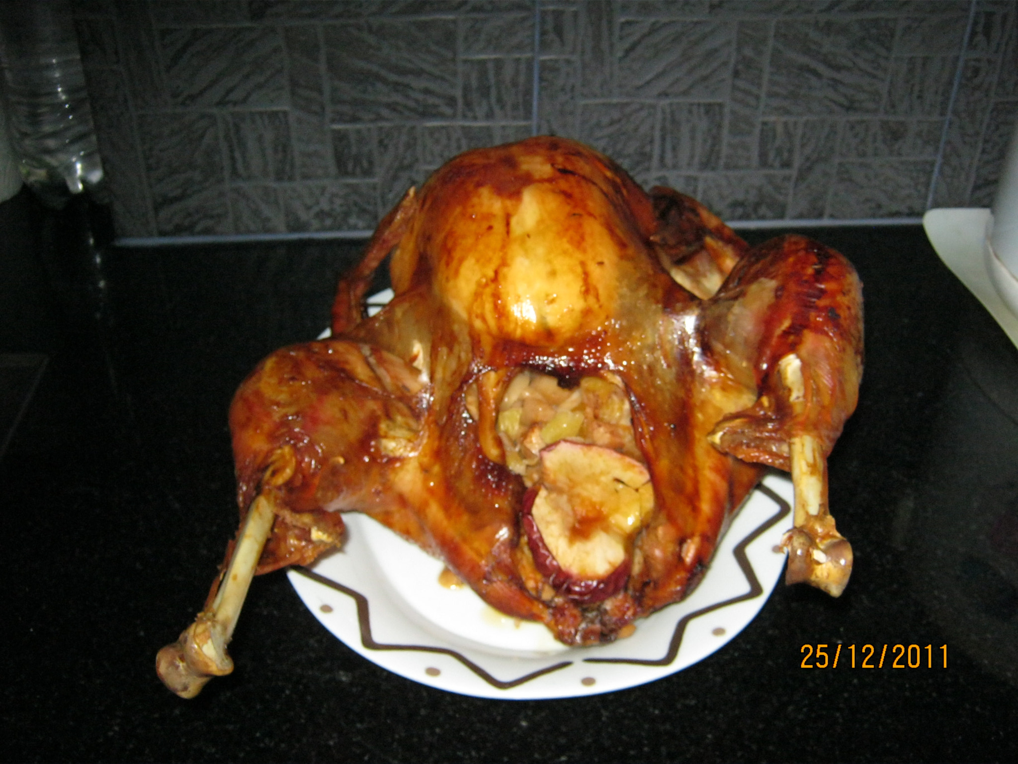 Canon PowerShot A495 sample photo. Christmas turkey photography