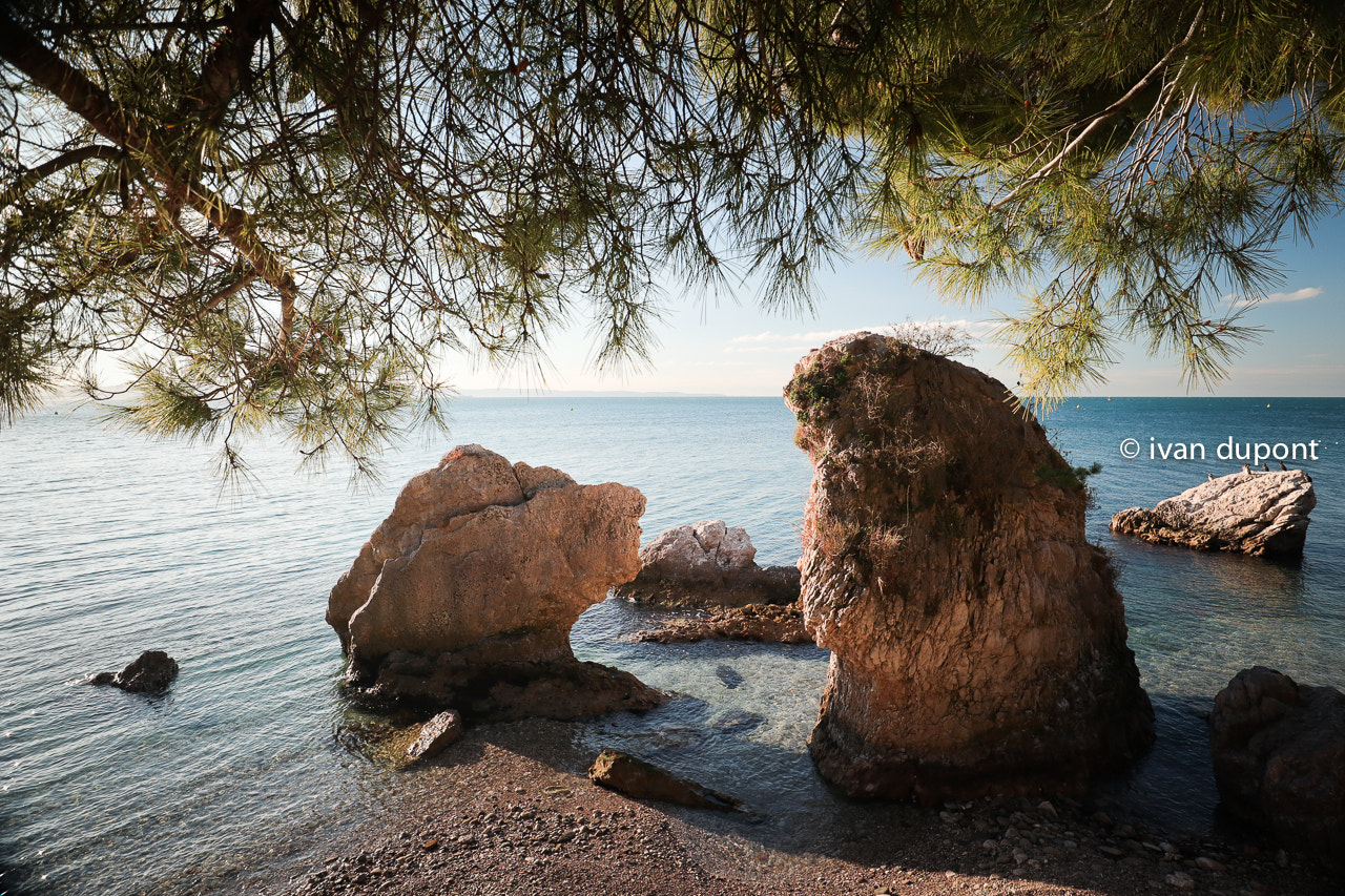 Canon EF-M 11-22mm F4-5.6 IS STM sample photo. Adriatic sea during the winter, trieste, italia photography