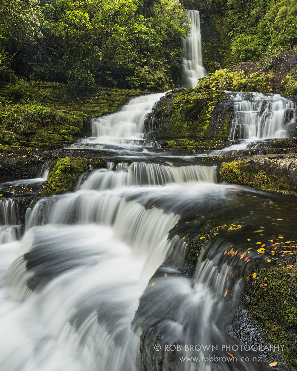 Nikon D800E + Nikon AF-S Nikkor 20mm F1.8G ED sample photo. Mclean's falls, catlins forest park photography