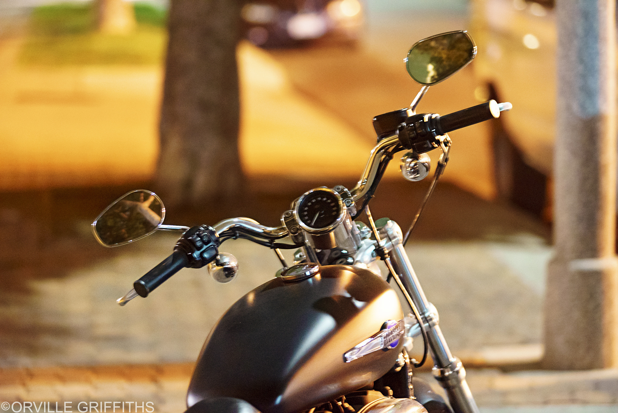 Sony a7S sample photo. Harley*bokehº2 photography