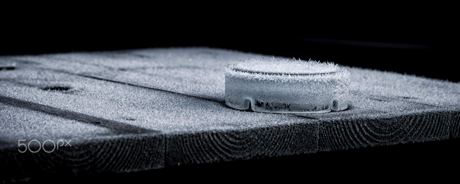 Leica M9 + Elmarit-M 90mm f/2.8 sample photo. The frost photography