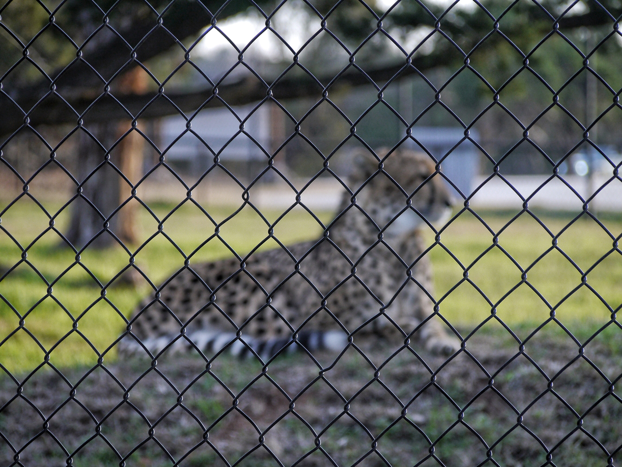 Panasonic Lumix DMC-G3 sample photo. This is my world photography