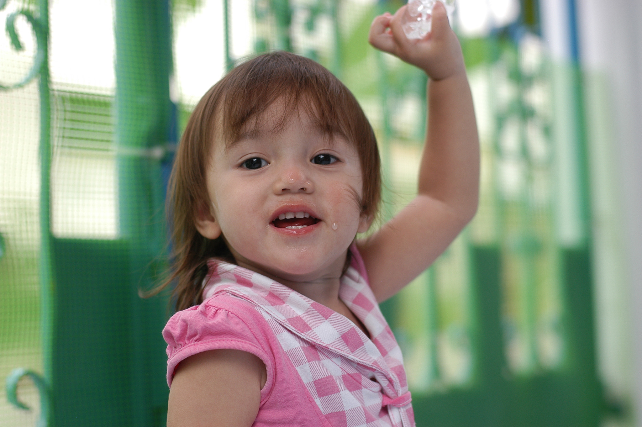 AF Nikkor 50mm f/1.4 sample photo. Dsc photography