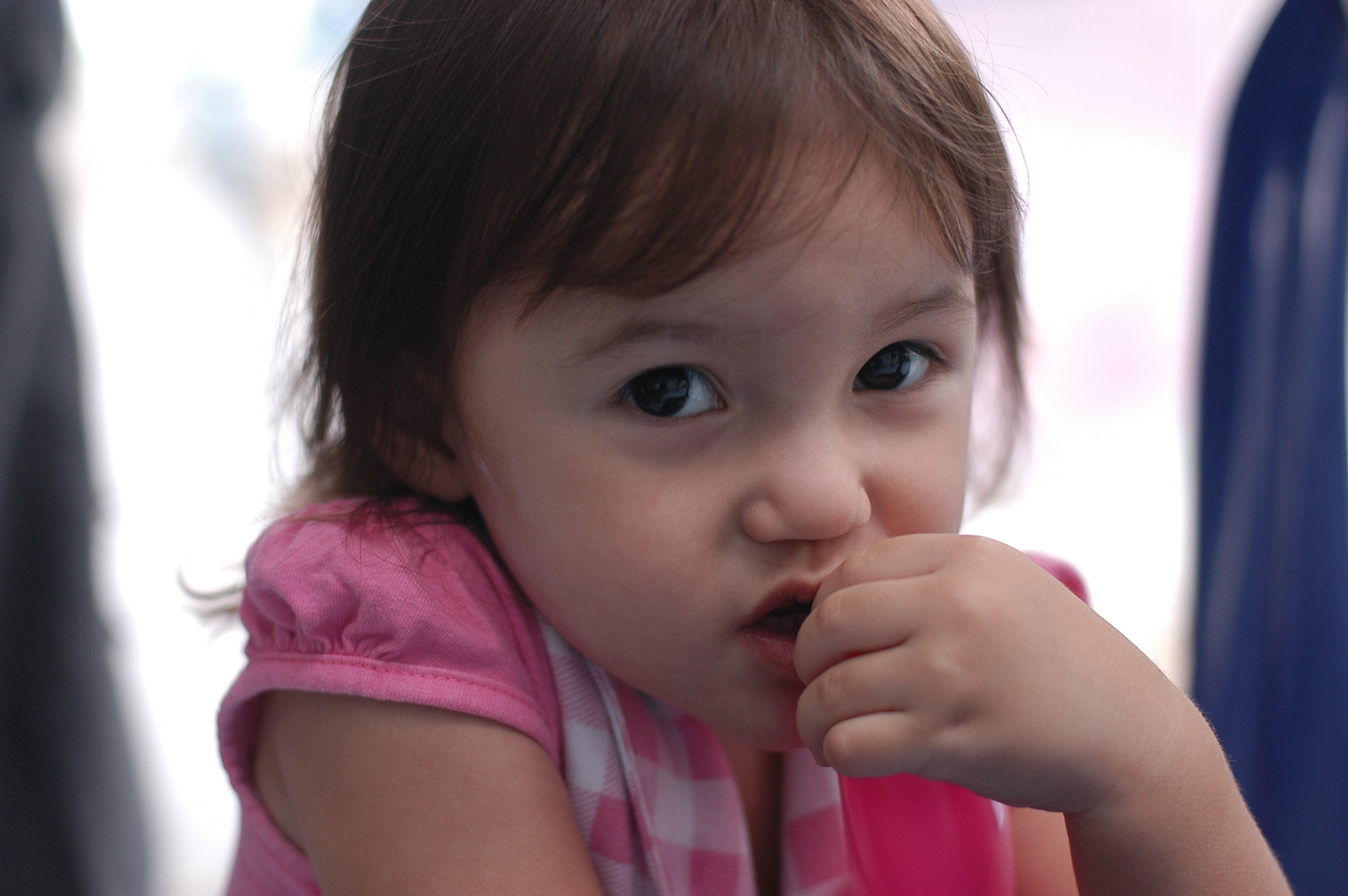 Nikon D100 + AF Nikkor 50mm f/1.4 sample photo. Dsc photography