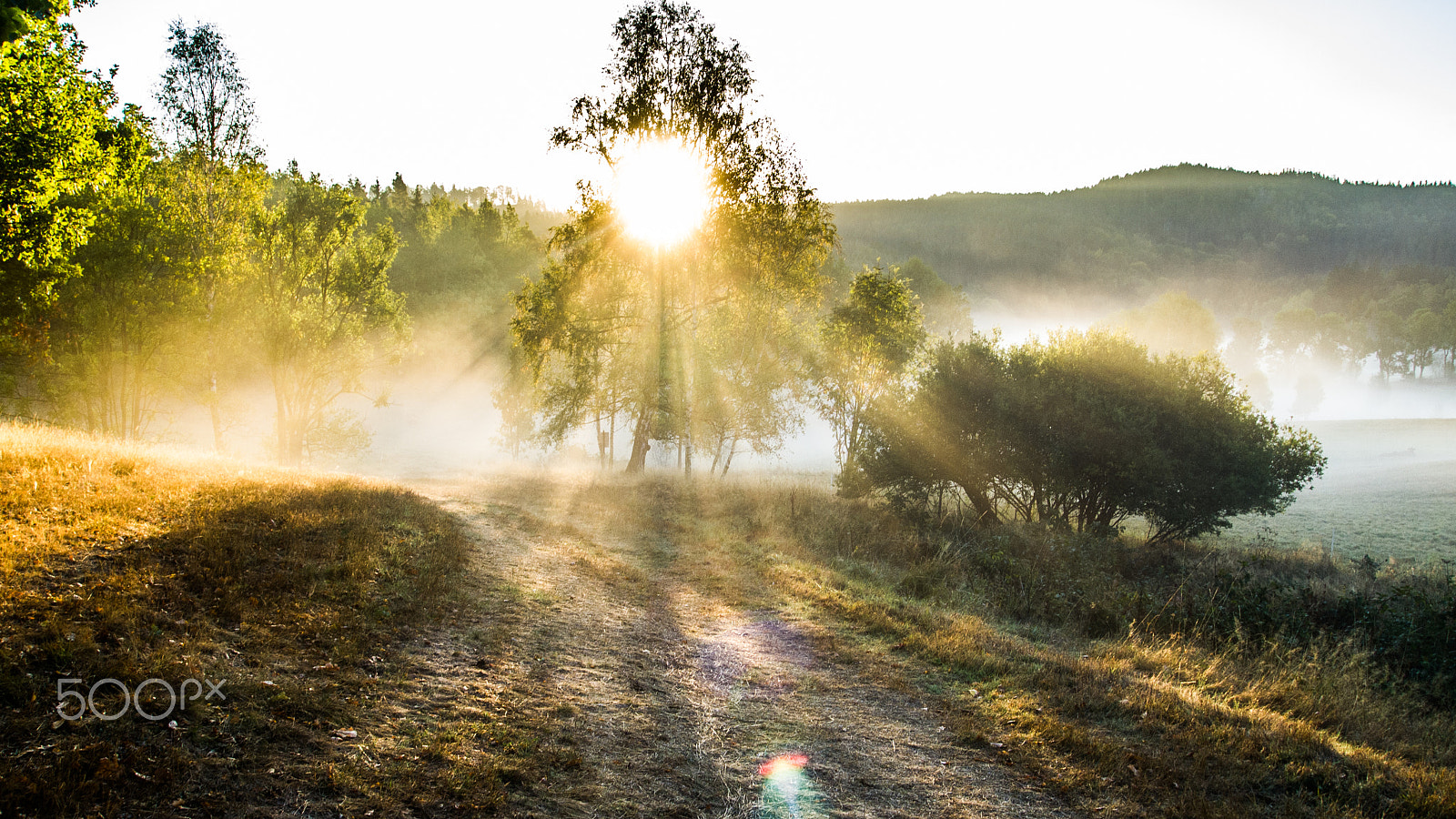 Olympus PEN E-PL1 sample photo. Dirty road covered in mist at a sunset. photography
