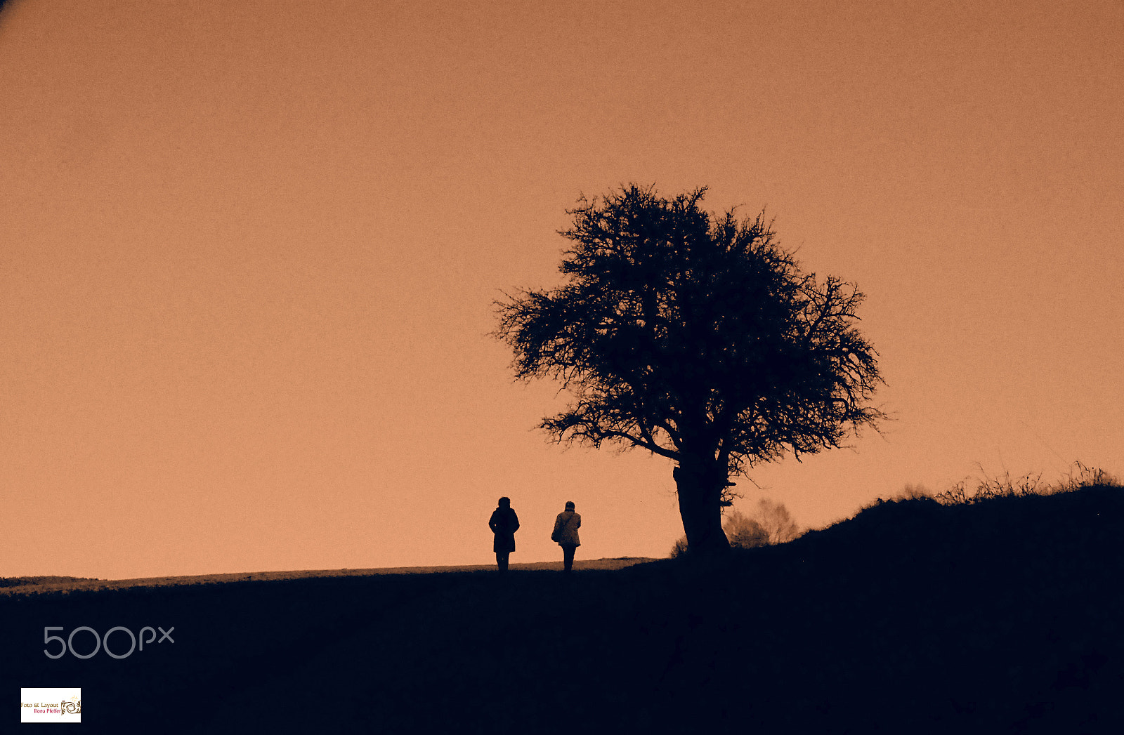 Olympus OM-D E-M1 sample photo. Paths photography
