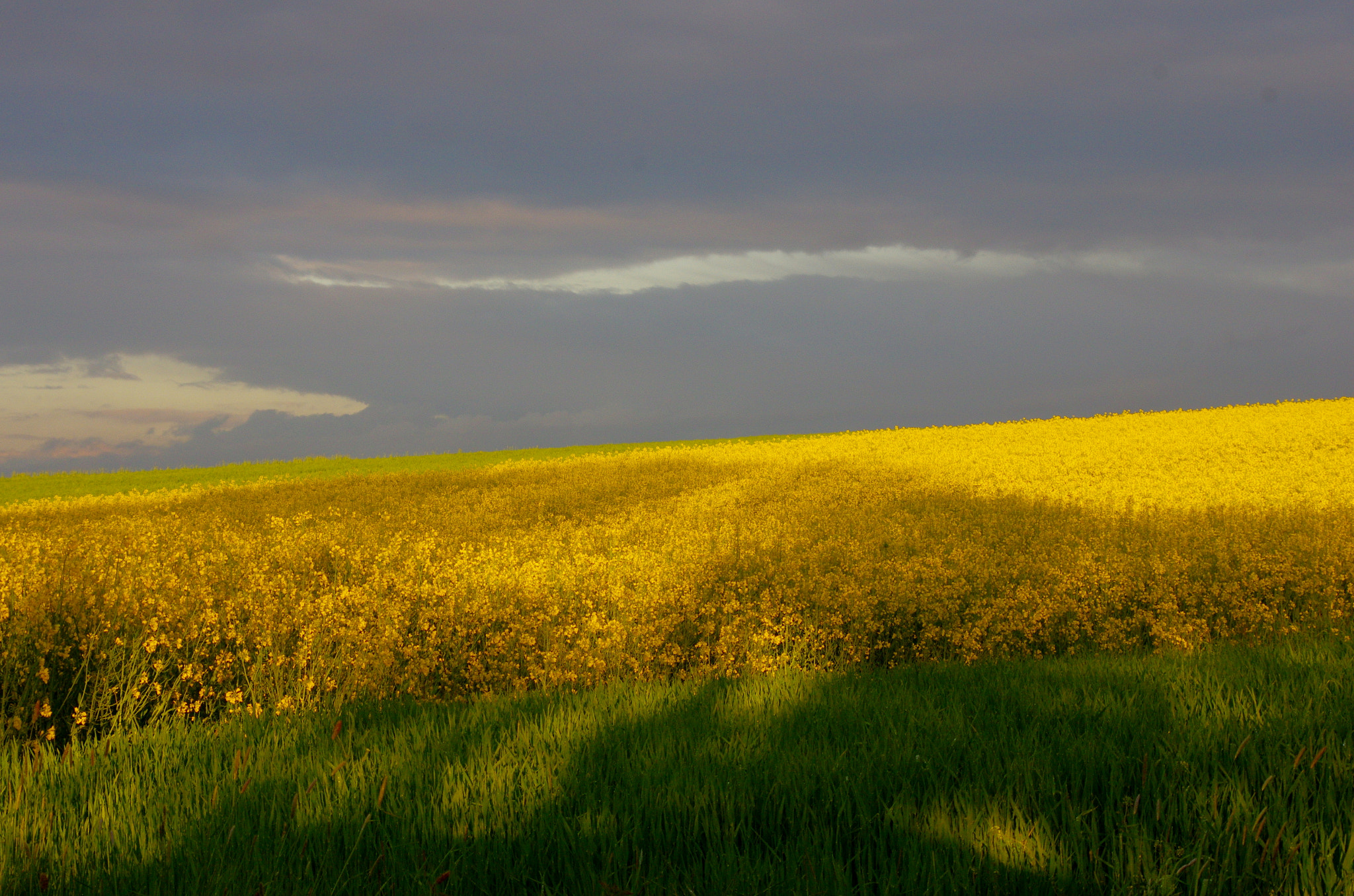 smc PENTAX-DA L 55-300mm F4-5.8 ED sample photo. Contrast of shadows and warm light photography