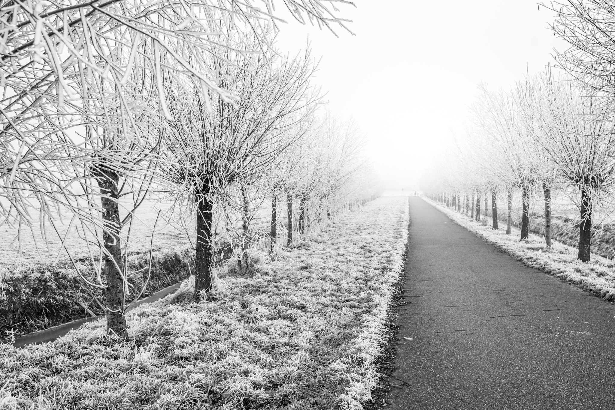 Nikon AF-S Nikkor 35mm F1.4G sample photo. Misty road photography
