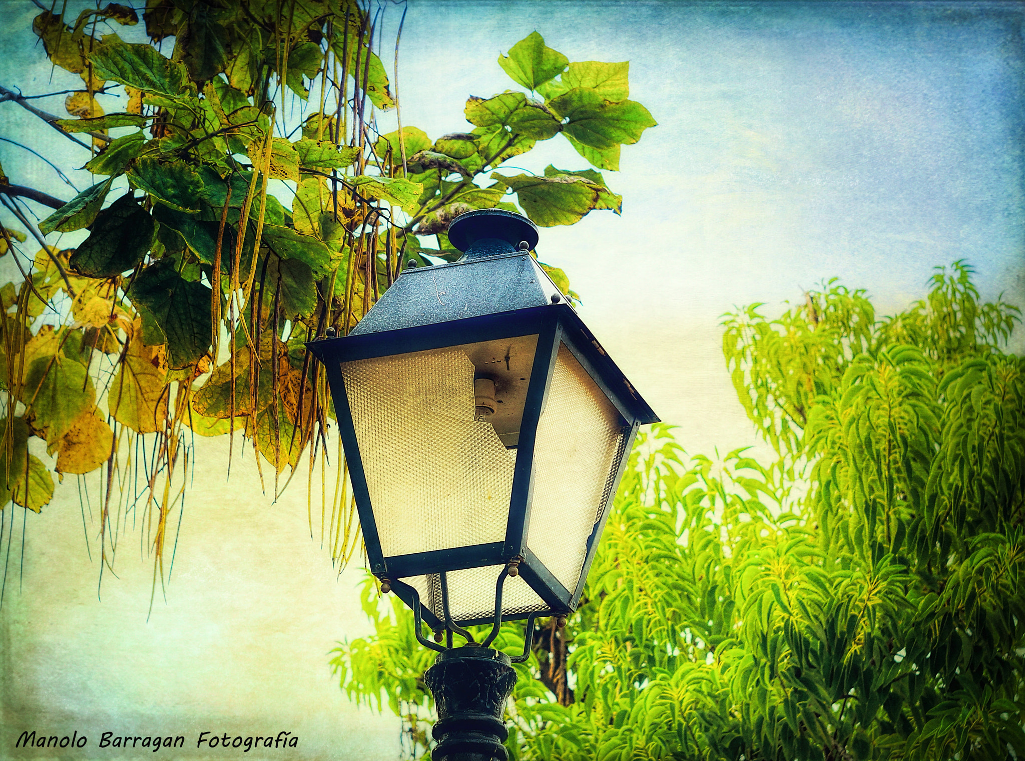 Sony SLT-A77 + Minolta AF 50mm F1.7 sample photo. La farola photography